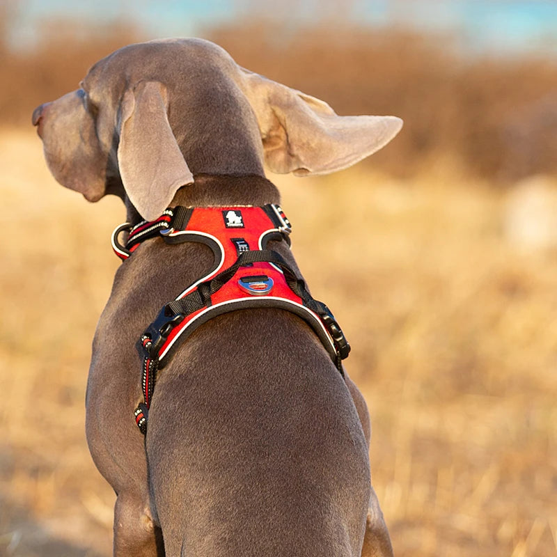 TRUELOVE Reflective Dog Harness No-Pull Adjustable Vest
