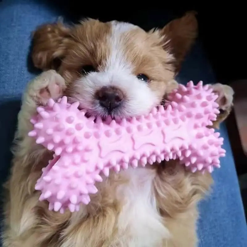 Durable Squeaky Dog Chew Toys TPR Non Toxic Chewing Bones