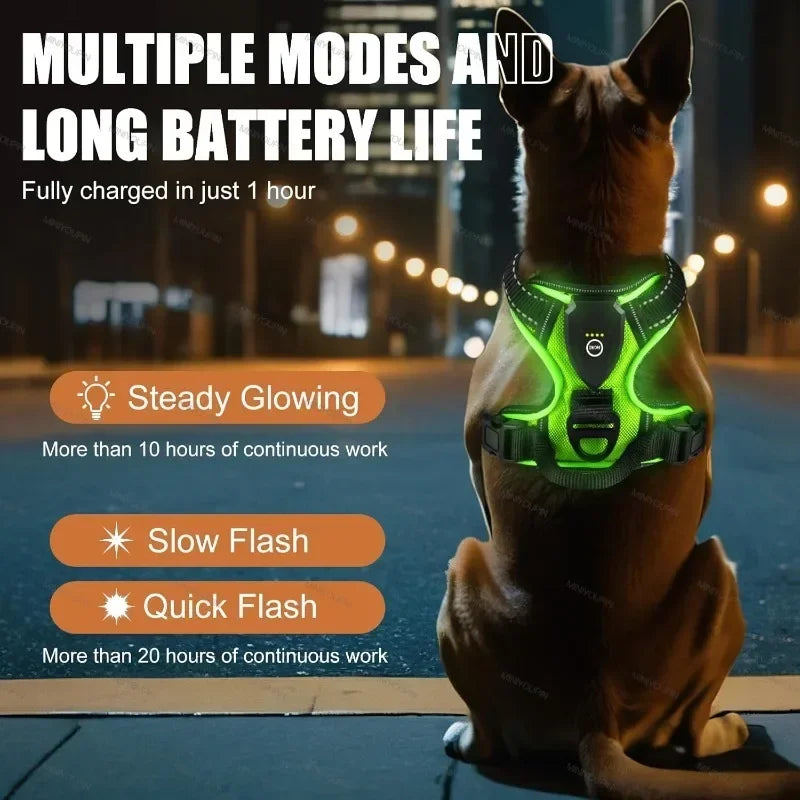 LED Luminous Dog Harness No Pull Adjustable Rechargeable Vest