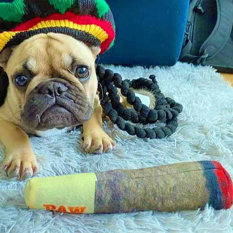 Funny Cigar Design Interactive Dog Toy Squeaky Plush Chew