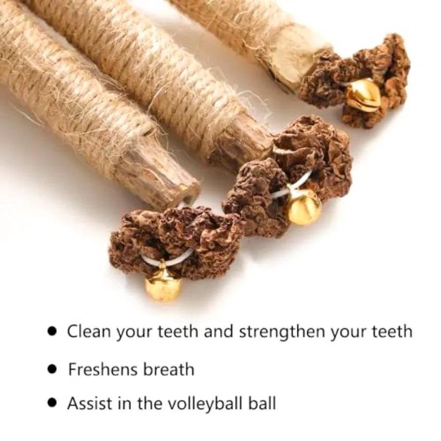 Matatabi Natural Silvervine Catnip Toys Sticks For Indoor Cats