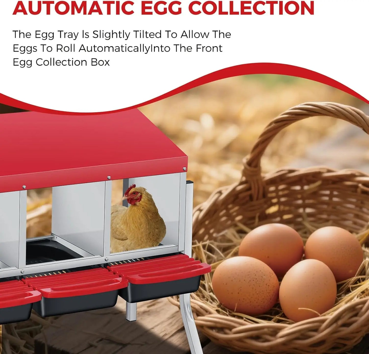 TWISTER.CK Multi-Compartment Metal Chicken Nest Box Automatic Egg Roll-Out