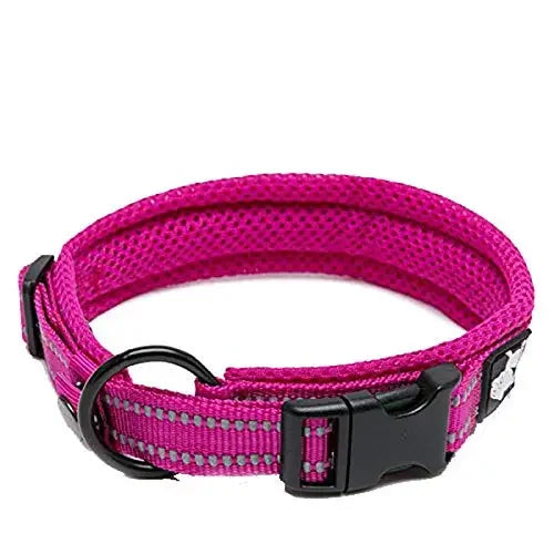 TRUELOVE Adjustable Padded Reflective Nylon Dog Collar