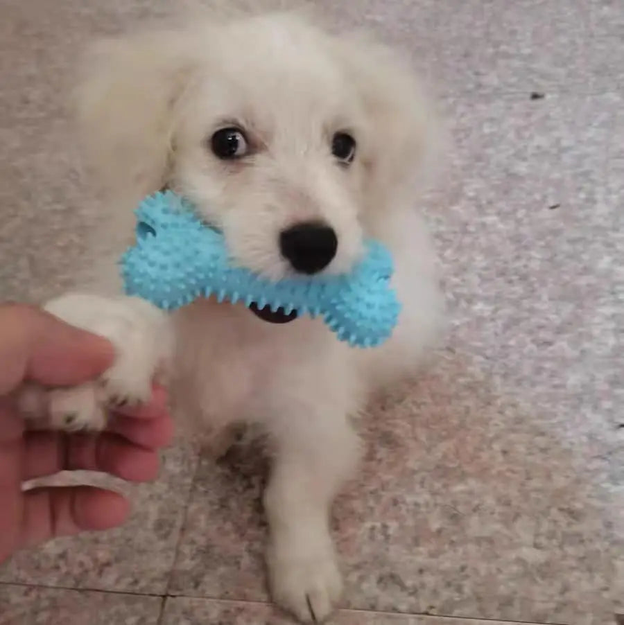 Durable Squeaky Dog Chew Toys TPR Non Toxic Chewing Bones