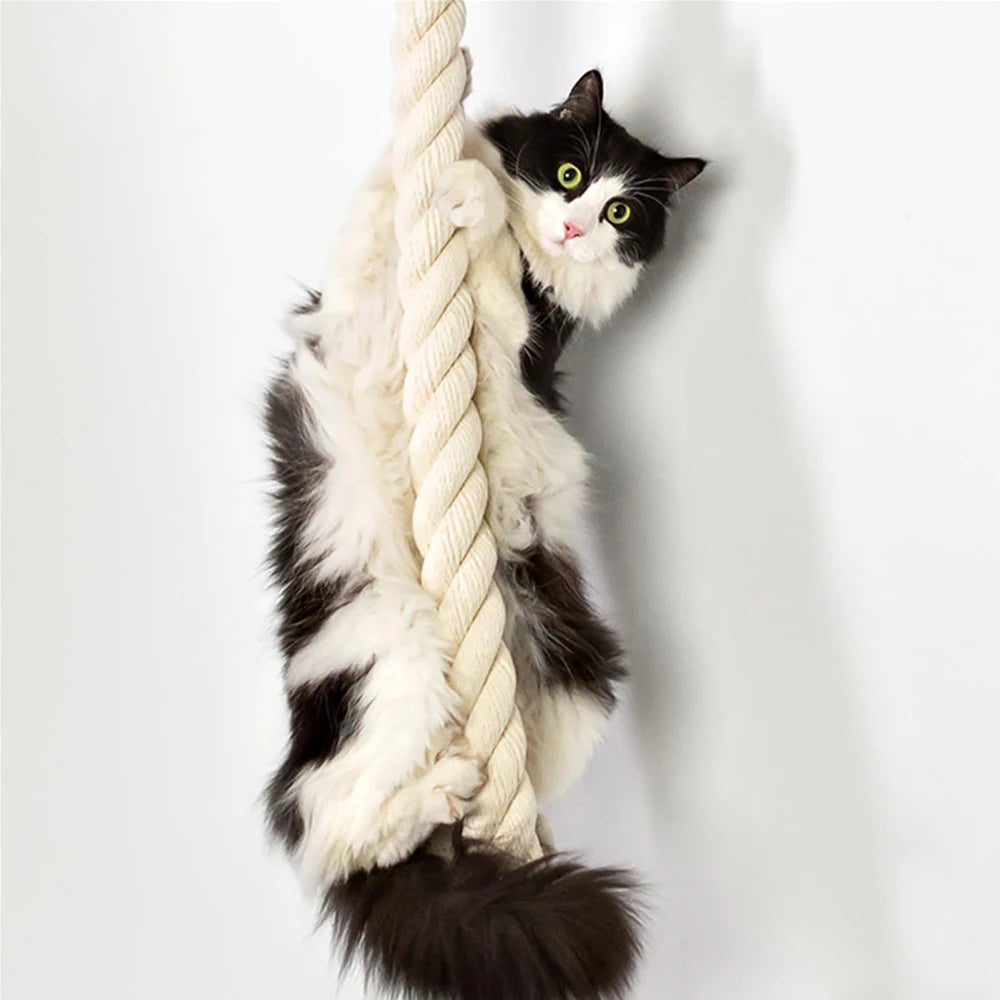 PETRAVEL Cat Climbing Shelf and Rope Tree Scratching Post