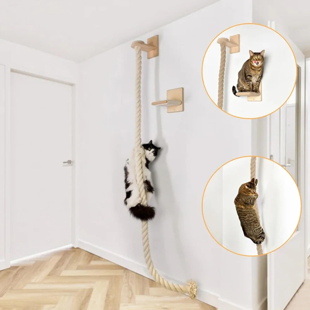 PETRAVEL Cat Climbing Shelf and Rope Tree Scratching Post