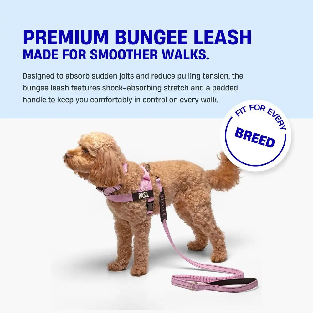 XMSJ Bungee Dog Leash Shock Absorbent Neoprene Handle Heavy Duty Clip
