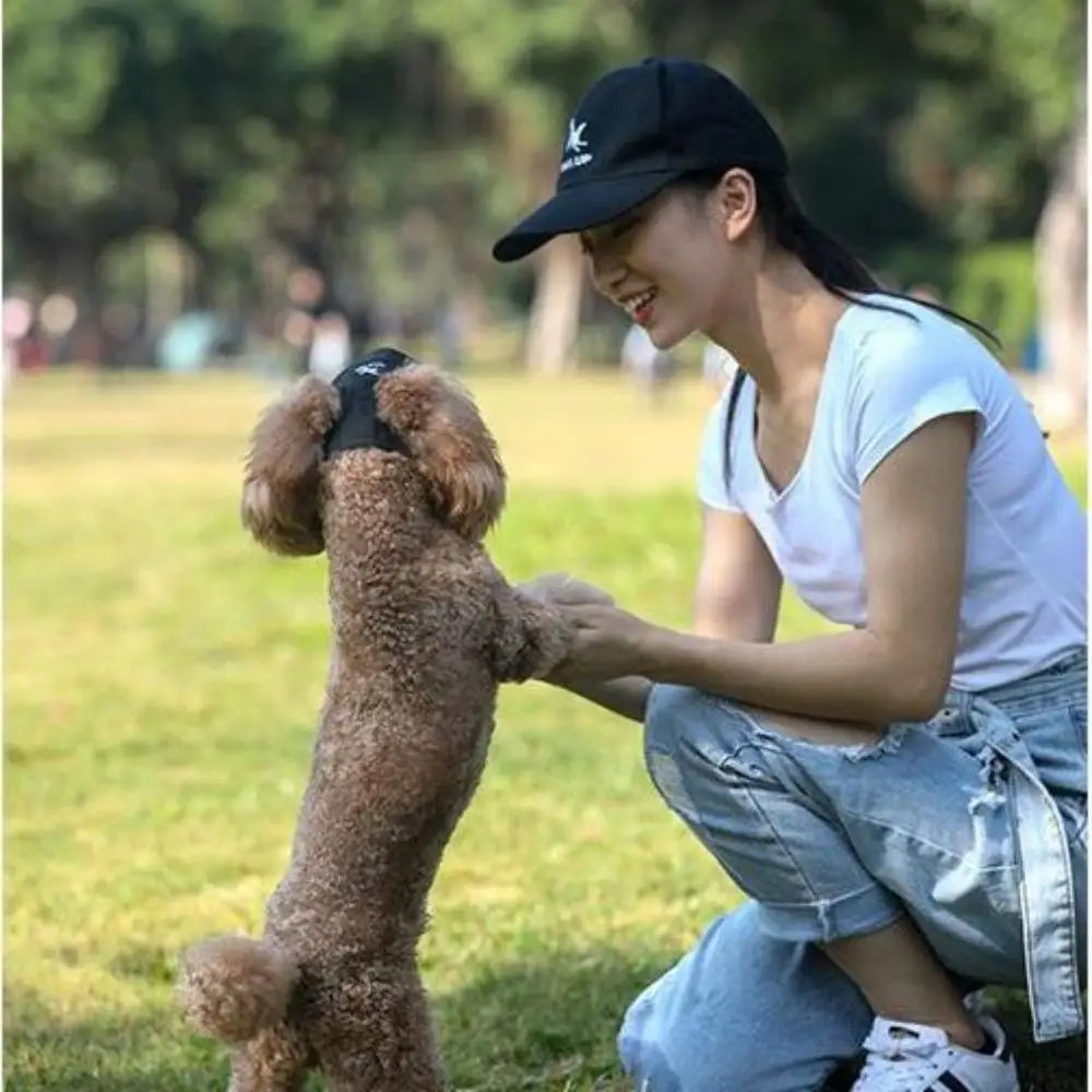 Pet Baseball Cap Sun Hat For Dogs And Cats With Ear Holes