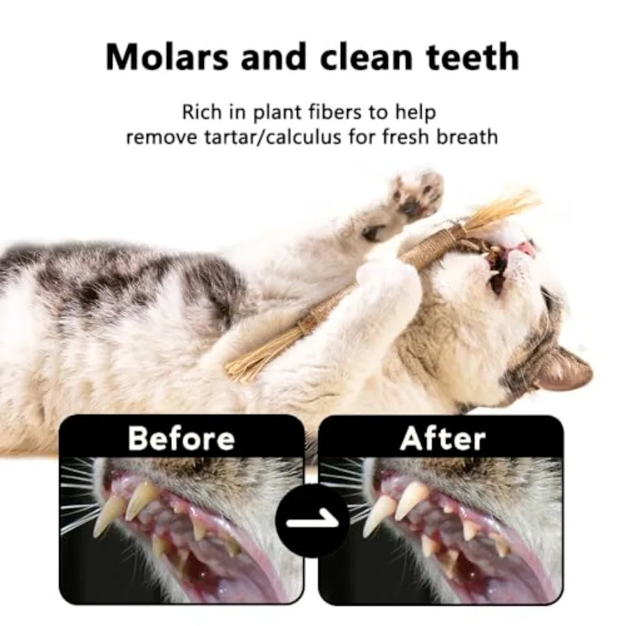 Matatabi Natural Silvervine Catnip Toys Sticks For Indoor Cats