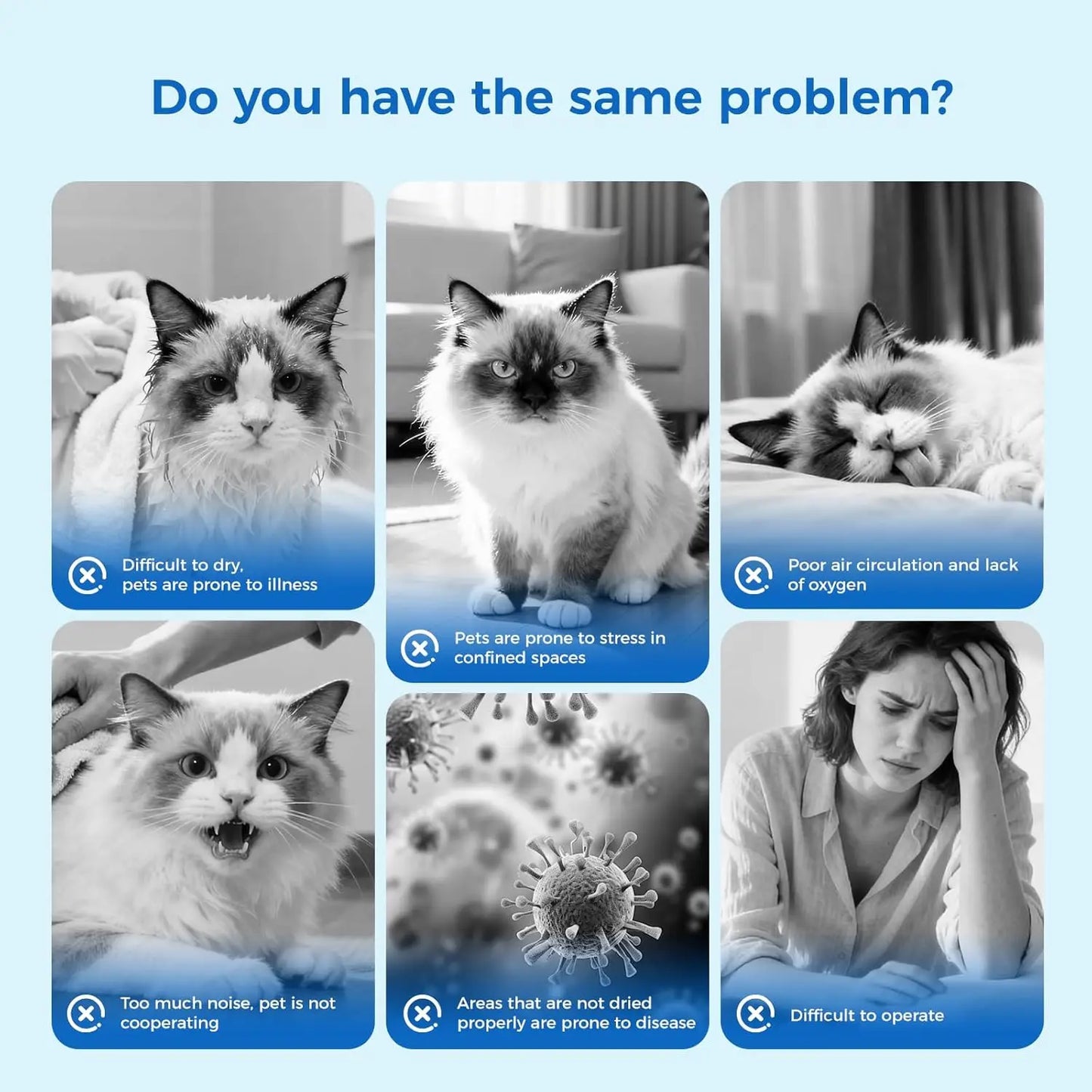 Automatic Pet Dryer Box for Cats and Small Dogs
