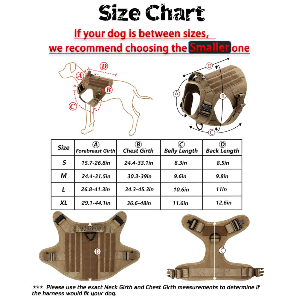 PETRAVEL Large Dog Harness And Leash Set For Training