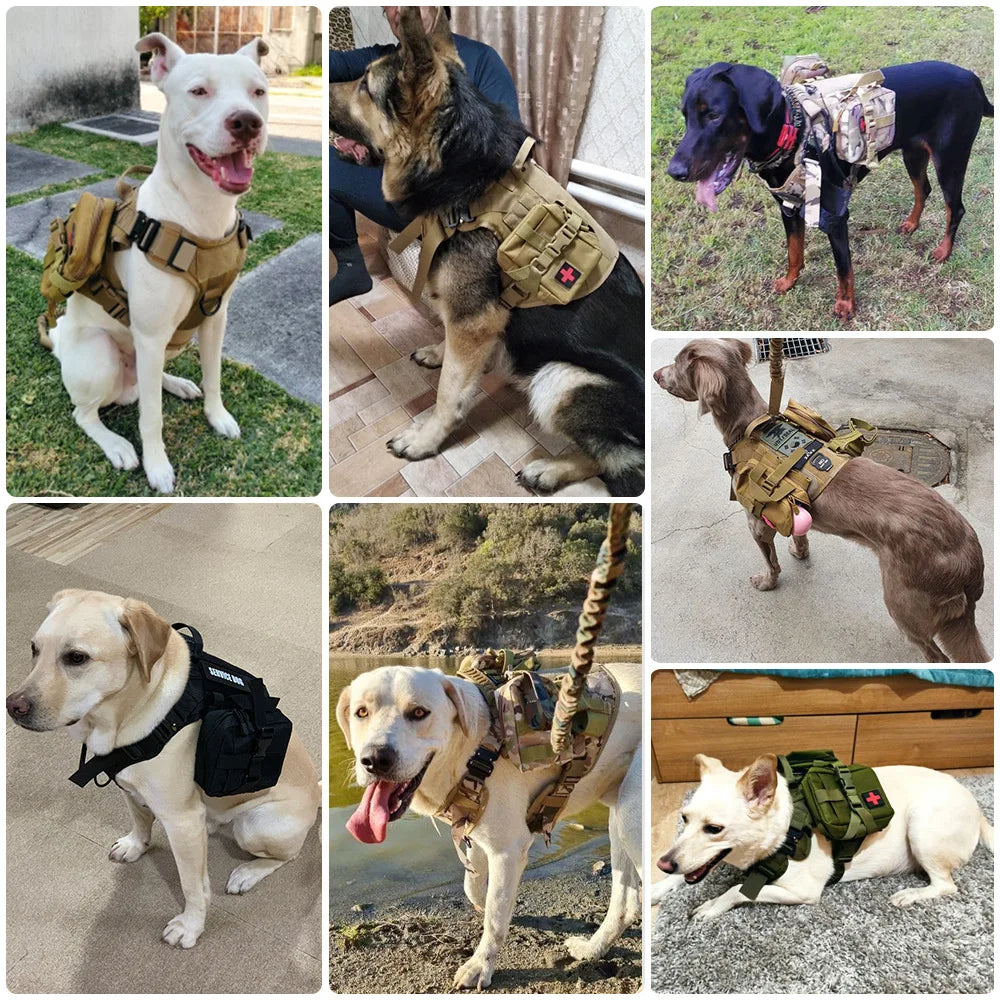 PETRAVEL Durable Dog Tactical MOLLE Pouch Set for Harness