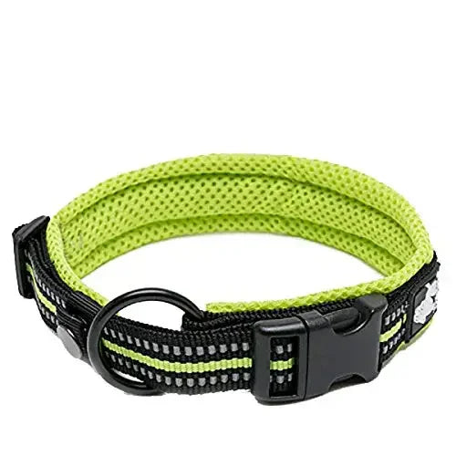 TRUELOVE Adjustable Padded Reflective Nylon Dog Collar