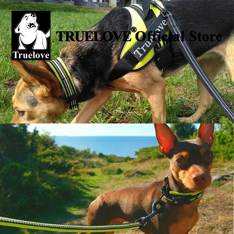 TRUELOVE Adjustable Padded Reflective Nylon Dog Collar