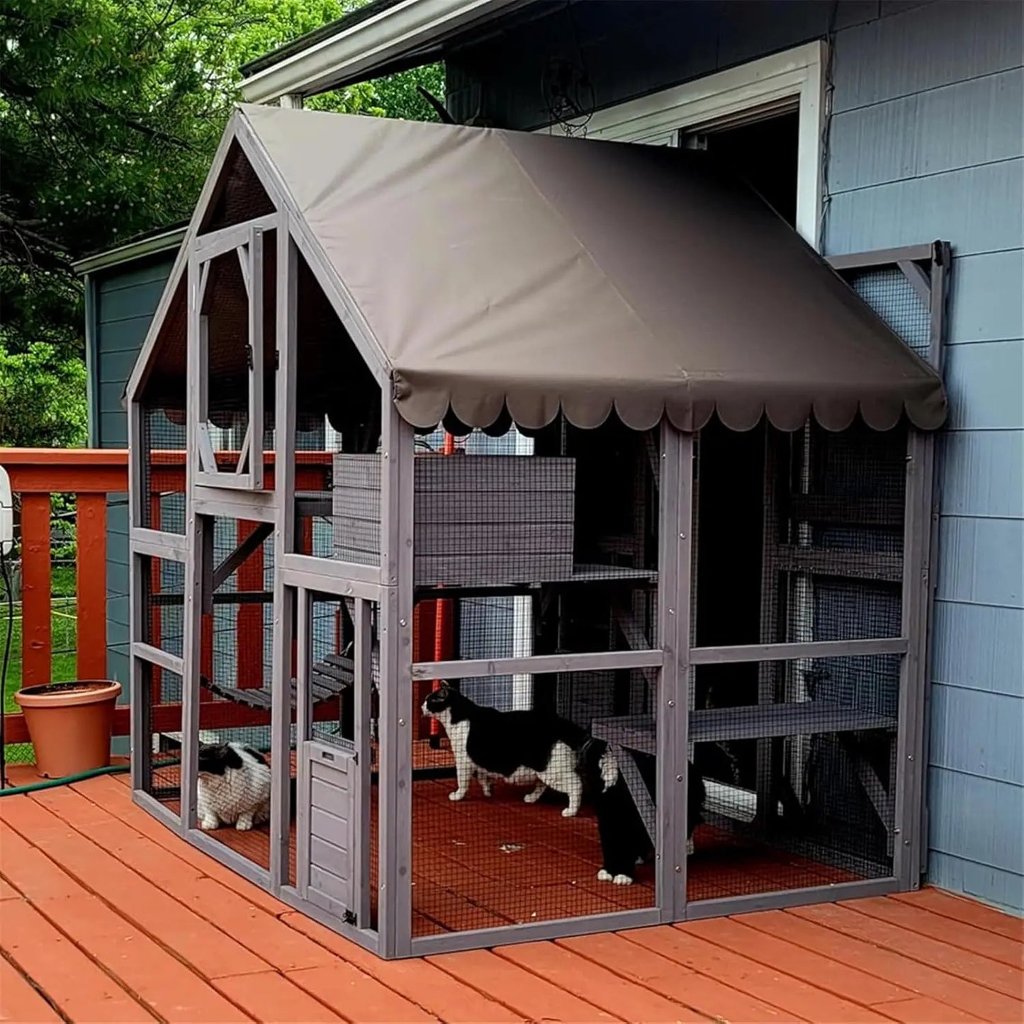 Wooden Outdoor Cat Enclosure With Large Door Platforms