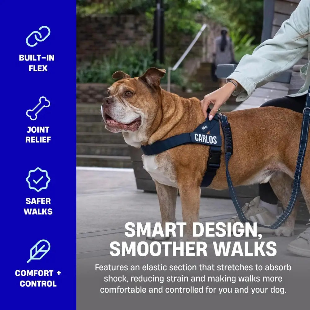 XMSJ Bungee Dog Leash Shock Absorbent Neoprene Handle Heavy Duty Clip