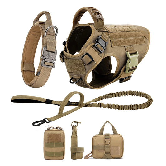 PETRAVEL Large Dog Harness And Leash Set For Training