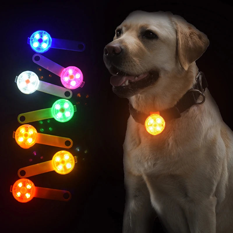 LED Pet Collar Pendant Light IPX7 Waterproof Dogs And Cats